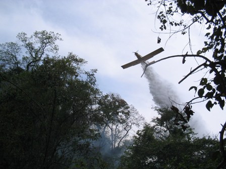 Aeronave do IEF durante força-tarefa de combate a incêndio florestal